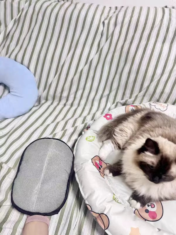 PawMagnet 🐾🧲
