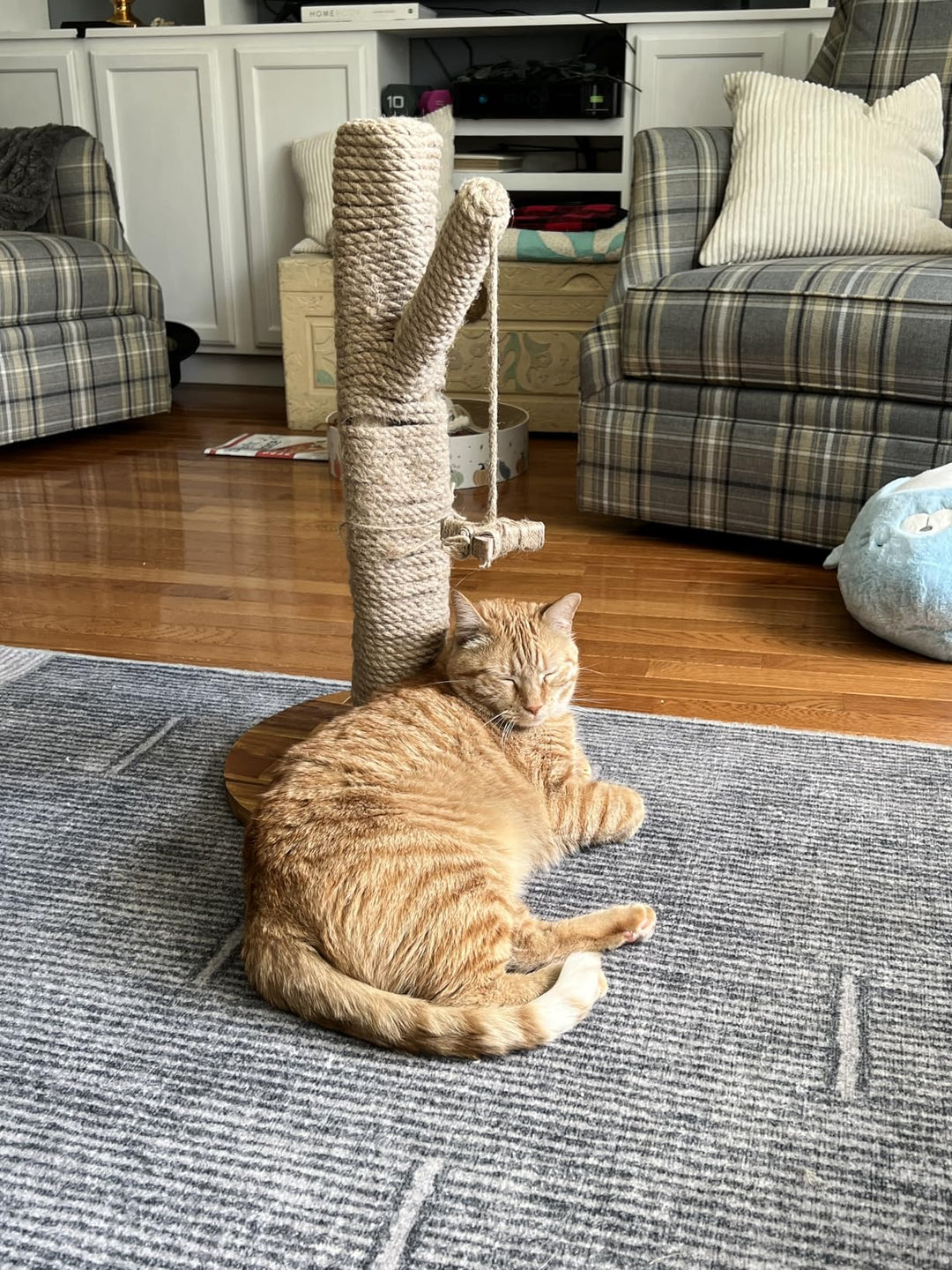 PawMagnet 🐾🧲