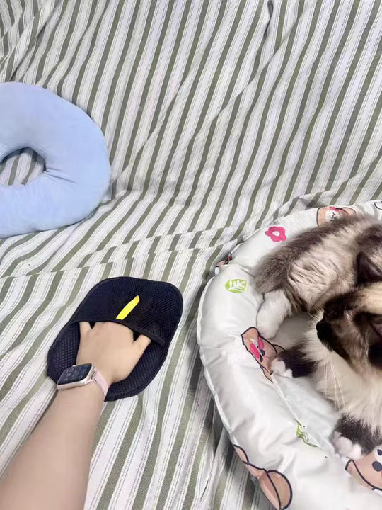 PawMagnet 🐾🧲